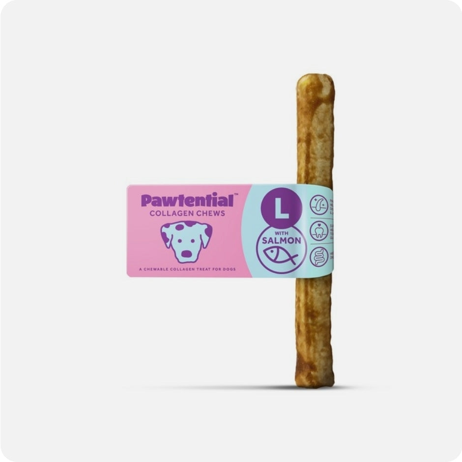 Pawtential Collagen Chew Salmon Flavour Large 110g