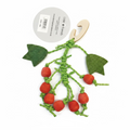 Small Pet Berry Nibbler