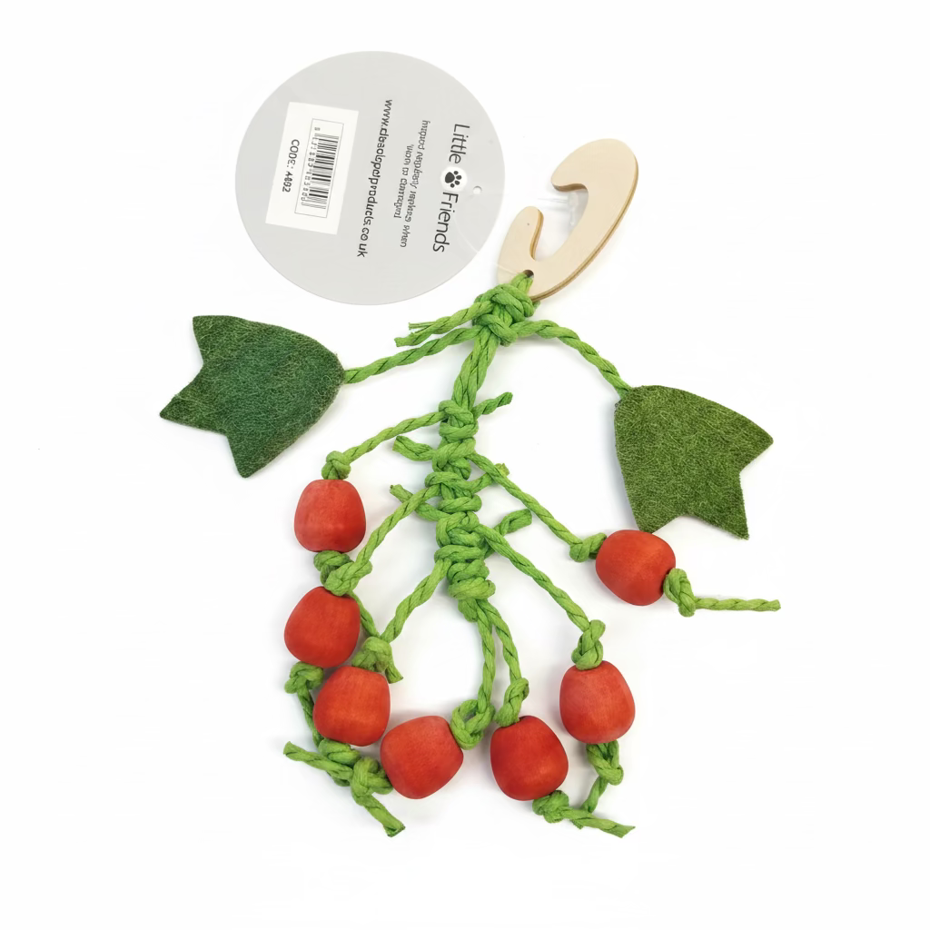 Small Pet Berry Nibbler